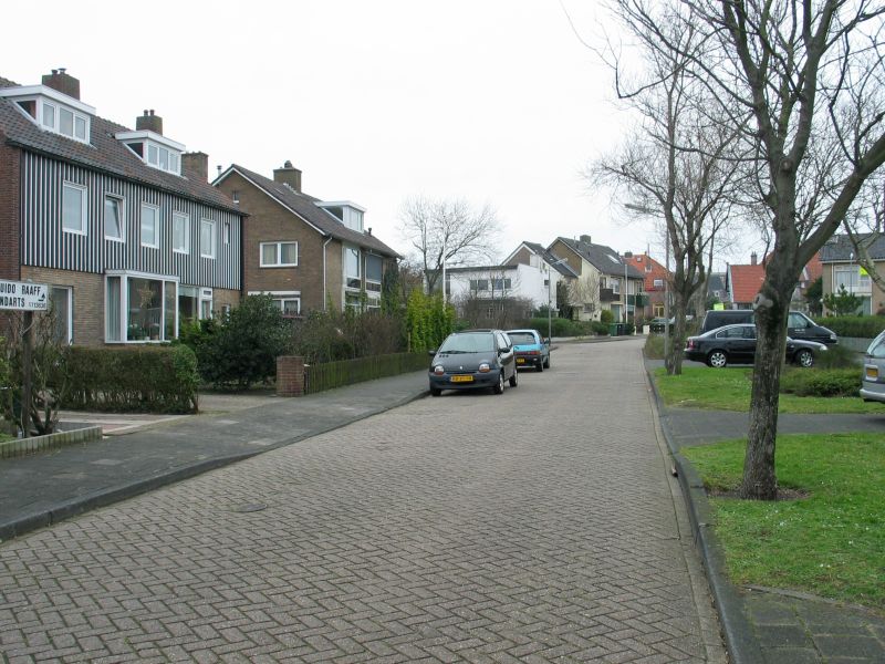 De Savornin Lohmanstraat